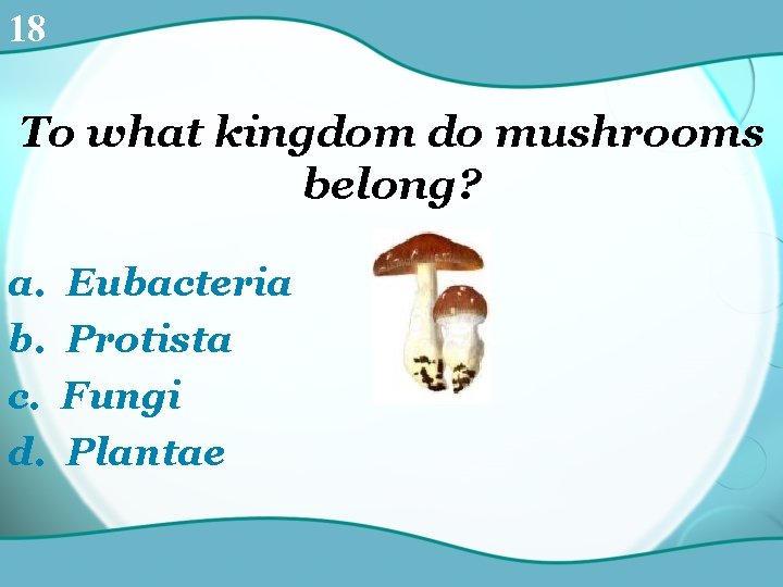 18 To what kingdom do mushrooms belong? a. b. c. d. Eubacteria Protista Fungi