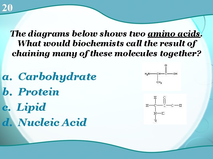 20 The diagrams below shows two amino acids. What would biochemists call the result