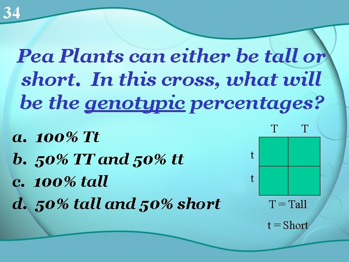 34 Pea Plants can either be tall or short. In this cross, what will