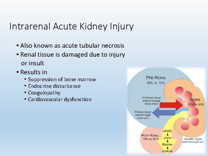 Intrarenal Acute Kidney Injury • Also known as acute tubular necrosis • Renal tissue