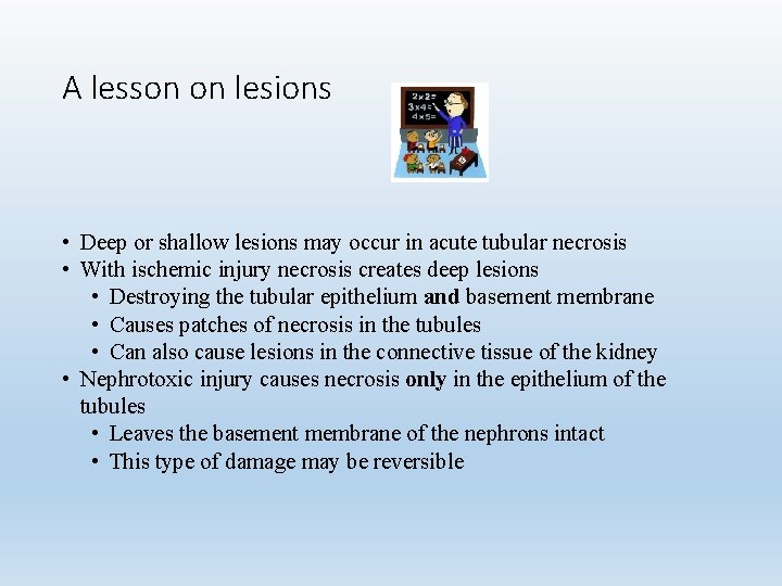 A lesson on lesions • Deep or shallow lesions may occur in acute tubular