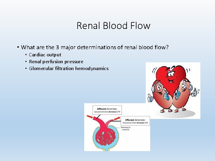 Renal Blood Flow • What are the 3 major determinations of renal blood flow?