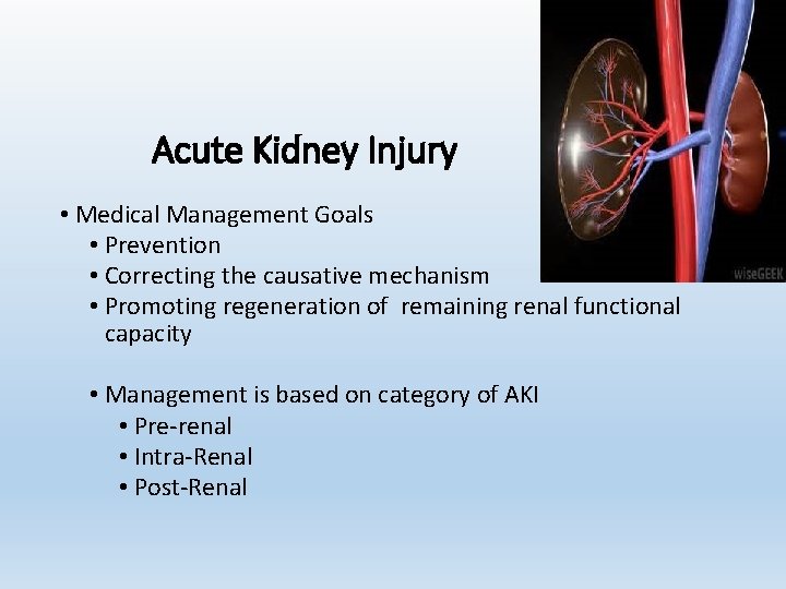 Acute Kidney Injury • Medical Management Goals • Prevention • Correcting the causative mechanism