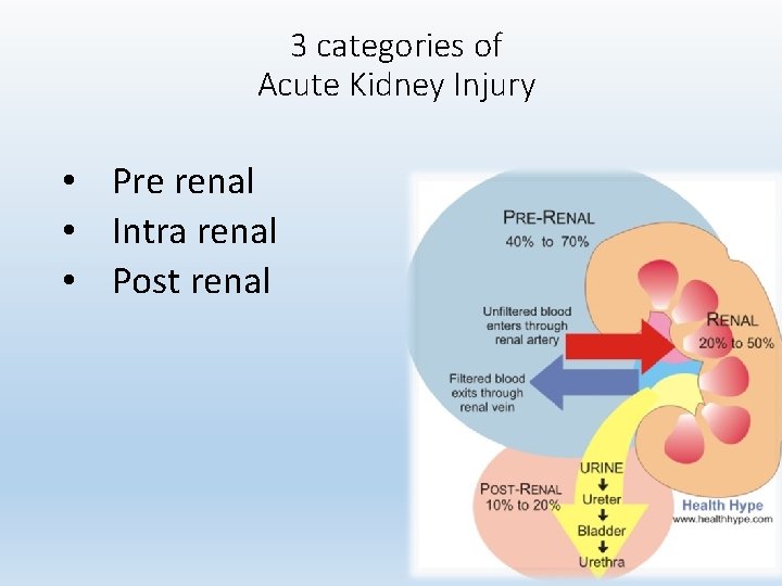 3 categories of Acute Kidney Injury • Pre renal • Intra renal • Post