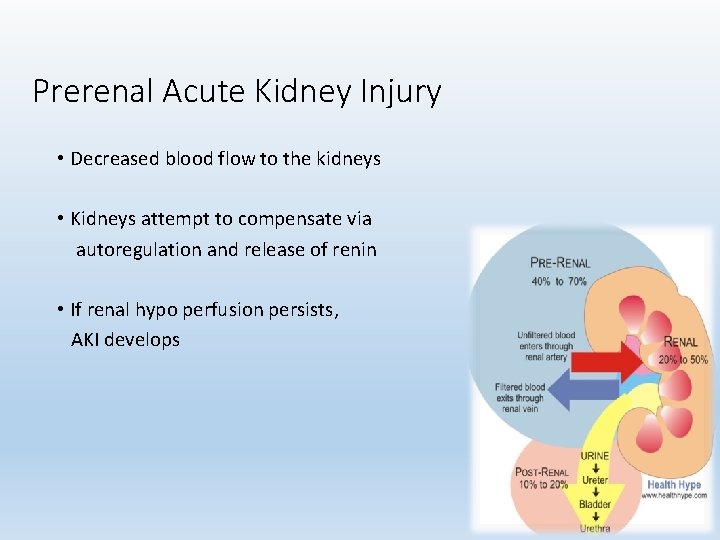 Prerenal Acute Kidney Injury • Decreased blood flow to the kidneys • Kidneys attempt