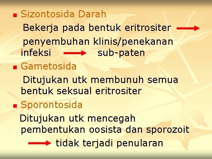 Sizontosida Darah Bekerja pada bentuk eritrositer penyembuhan klinis/penekanan infeksi sub-paten n Gametosida Ditujukan utk