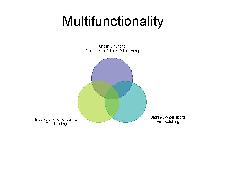 Multifunctionality Angling, hunting Commercial fishing, fish farming Biodiversity, water quality Reed cutting Bathing, water