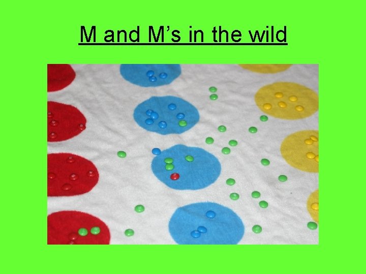 M and M’s in the wild 