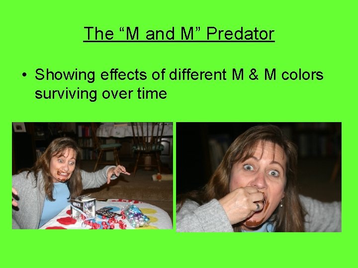 The “M and M” Predator • Showing effects of different M & M colors