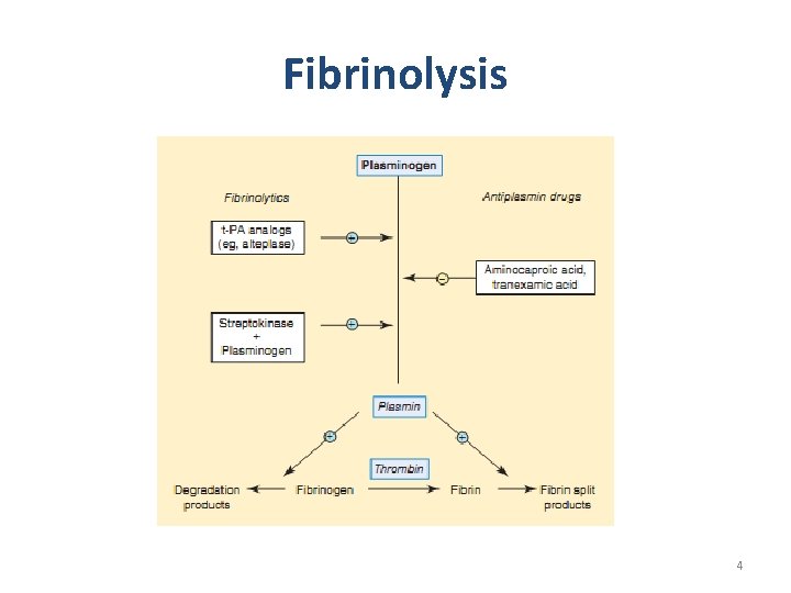 Fibrinolysis 4 