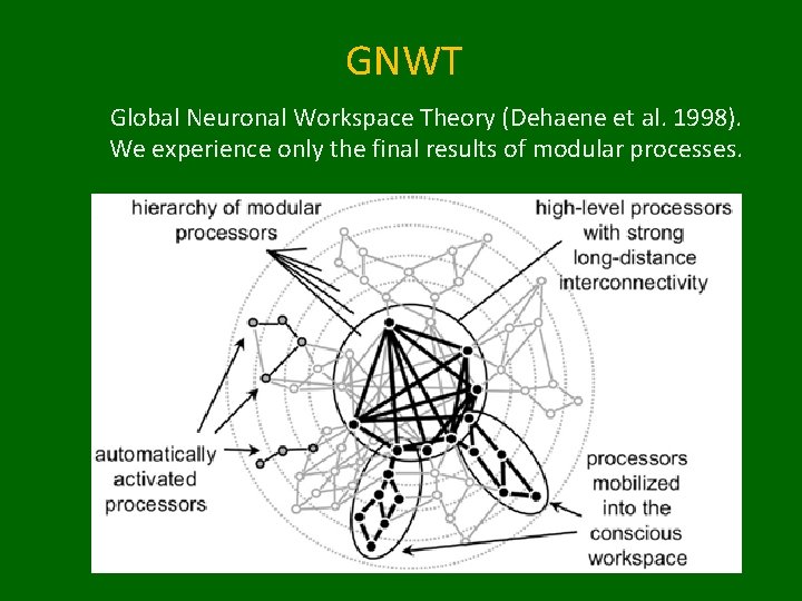 GNWT Global Neuronal Workspace Theory (Dehaene et al. 1998). We experience only the final