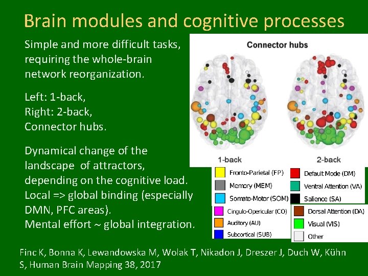 Brain modules and cognitive processes Simple and more difficult tasks, requiring the whole-brain network