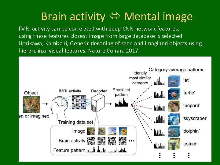 Brain activity Mental image f. MRI activity can be correlated with deep CNN network
