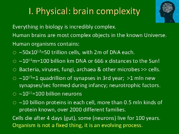 I. Physical: brain complexity Everything in biology is incredibly complex. Human brains are most