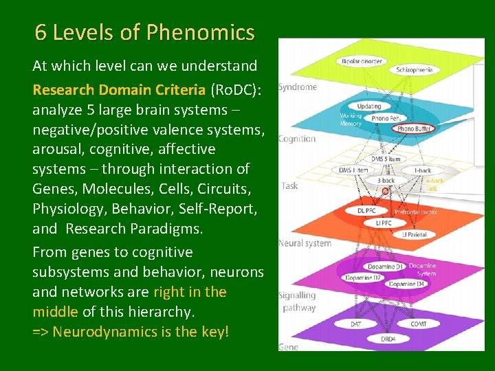 6 Levels of Phenomics At which level can we understand Research Domain Criteria (Ro.