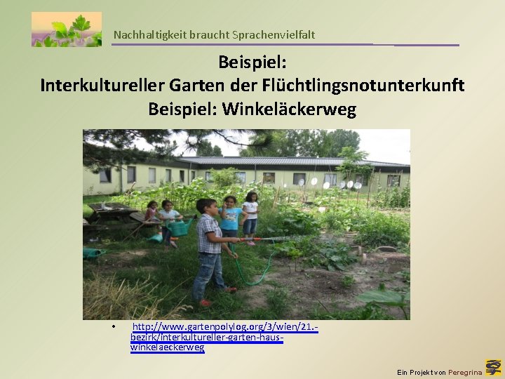 Nachhaltigkeit braucht Sprachenvielfalt Beispiel: Interkultureller Garten der Flüchtlingsnotunterkunft Beispiel: Winkeläckerweg • http: //www. gartenpolylog.