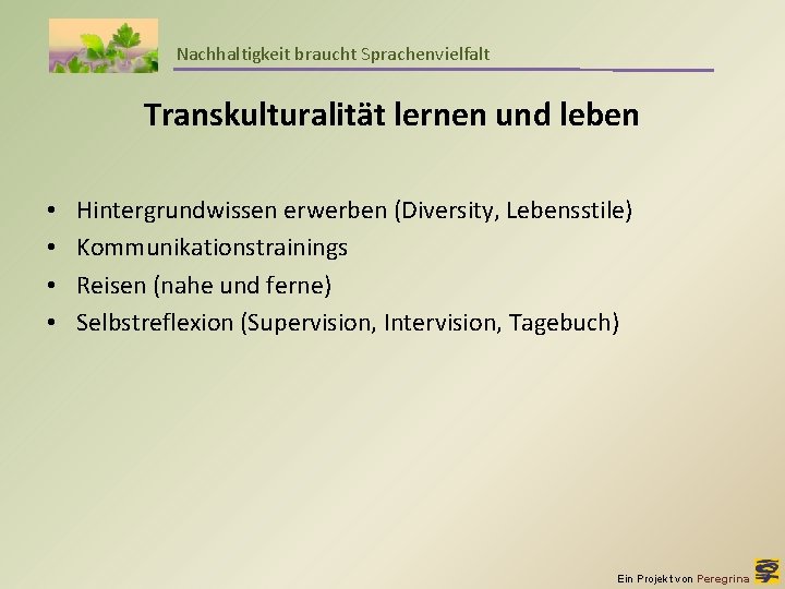 Nachhaltigkeit braucht Sprachenvielfalt Transkulturalität lernen und leben • • Hintergrundwissen erwerben (Diversity, Lebensstile) Kommunikationstrainings