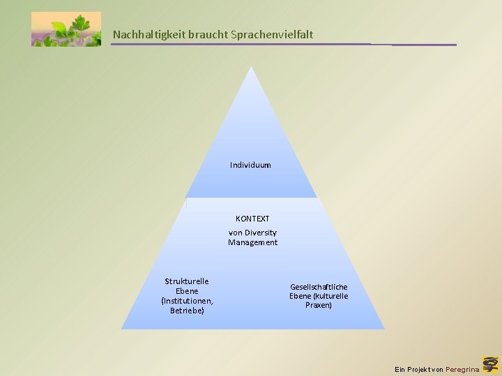 Nachhaltigkeit braucht Sprachenvielfalt Individuum KONTEXT von Diversity Management Strukturelle Ebene (Institutionen, Betriebe) Gesellschaftliche Ebene