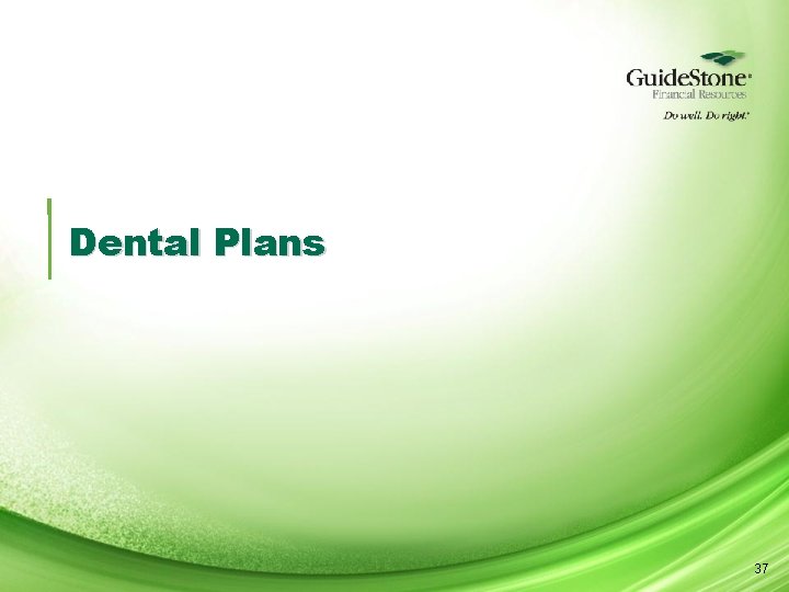 Dental Plans 37 