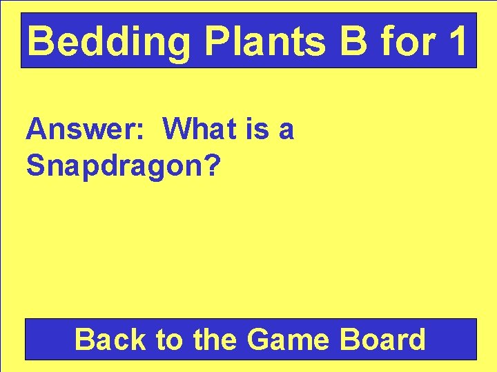 Bedding Plants B for 1 Answer: What is a Snapdragon? Back to the Game