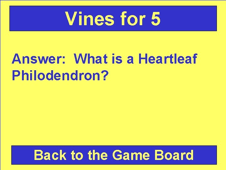 Vines for 5 Answer: What is a Heartleaf Philodendron? Back to the Game Board