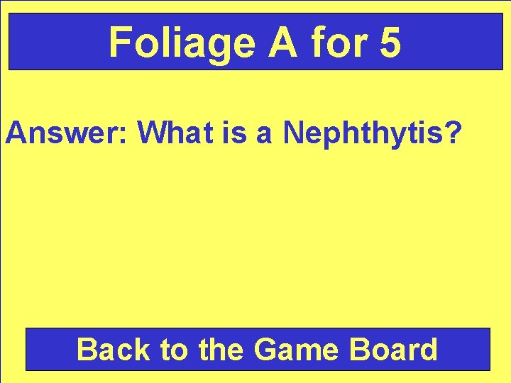Foliage A for 5 Answer: What is a Nephthytis? Back to the Game Board
