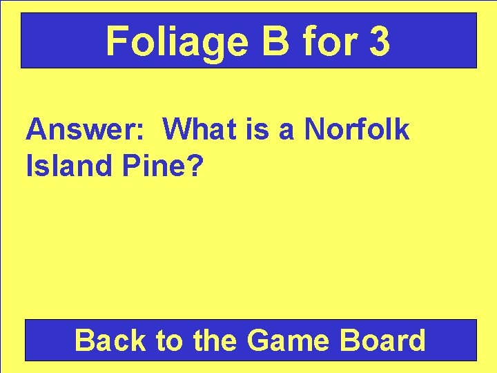 Foliage B for 3 Answer: What is a Norfolk Island Pine? Back to the