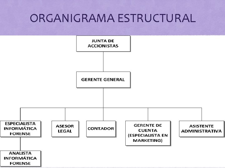 ORGANIGRAMA ESTRUCTURAL 