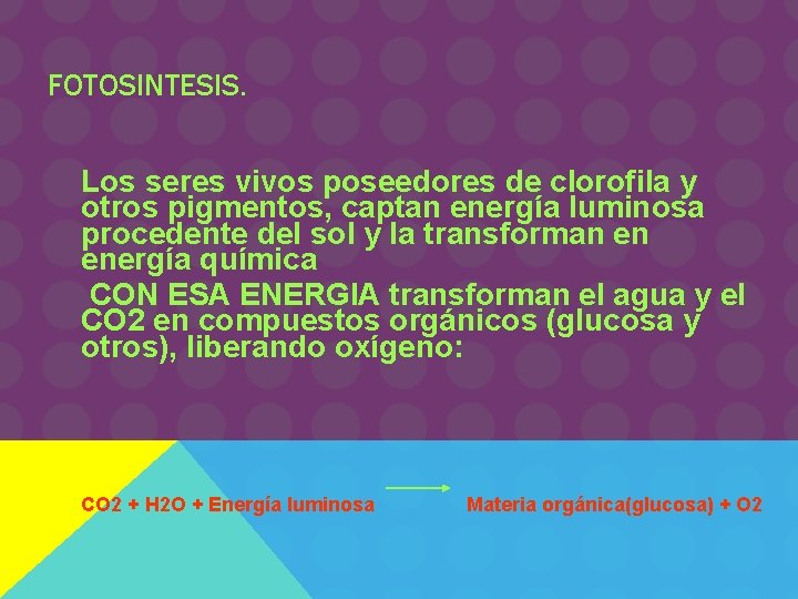 FOTOSINTESIS. Los seres vivos poseedores de clorofila y otros pigmentos, captan energía luminosa procedente