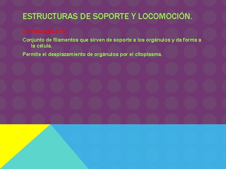 ESTRUCTURAS DE SOPORTE Y LOCOMOCIÓN. CITOESQUELETO: Conjunto de filamentos que sirven de soporte a