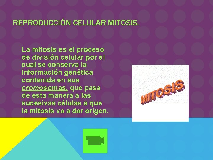 REPRODUCCIÓN CELULAR. MITOSIS. La mitosis es el proceso de división celular por el cual