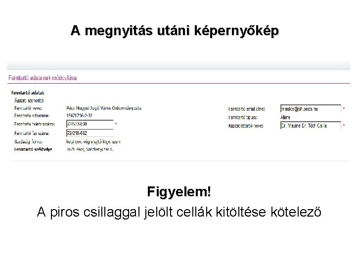 A megnyitás utáni képernyőkép Figyelem! A piros csillaggal jelölt cellák kitöltése kötelező A megnyitás utáni képernyőkép Figyelem! A piros csillaggal jelölt cellák kitöltése kötelező