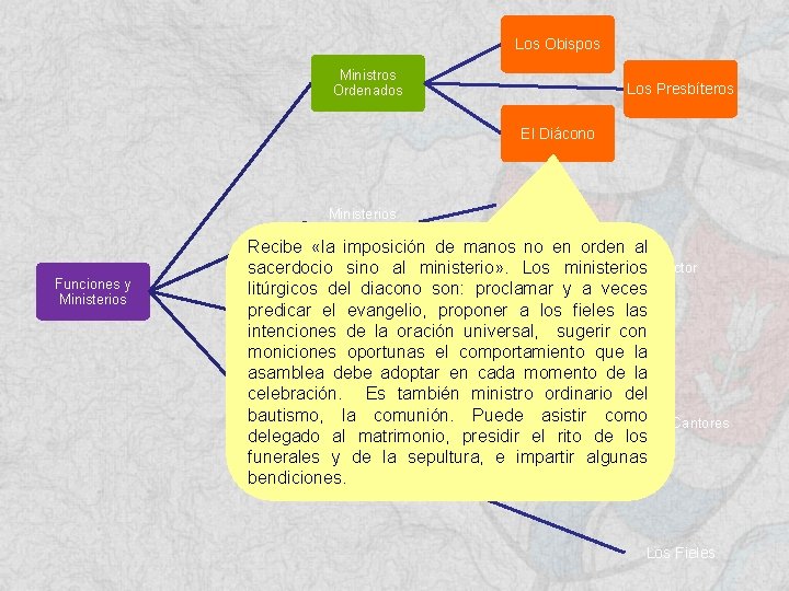 Los Obispos Ministros Ordenados Los Presbíteros El Diácono Ministerios Instituidos Funciones y Ministerios El