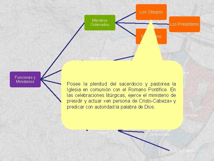 Los Obispos Ministros Ordenados Los Presbíteros El Diácono Ministerios Instituidos El Acólito El Lector