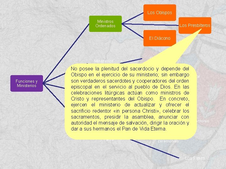 Los Obispos Ministros Ordenados Los Presbíteros El Diácono Ministerios Instituidos Funciones y Ministerios El