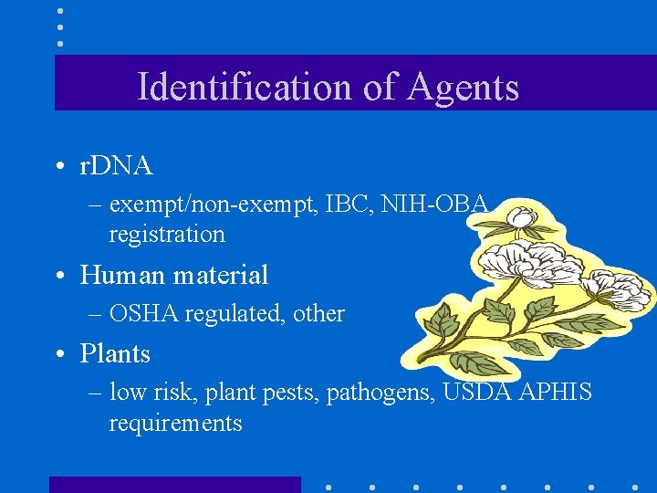 Identification of Agents • r. DNA – exempt/non-exempt, IBC, NIH-OBA registration • Human material