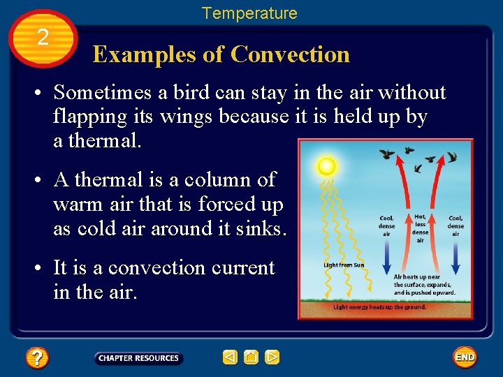 Temperature 2 Examples of Convection • Sometimes a bird can stay in the air