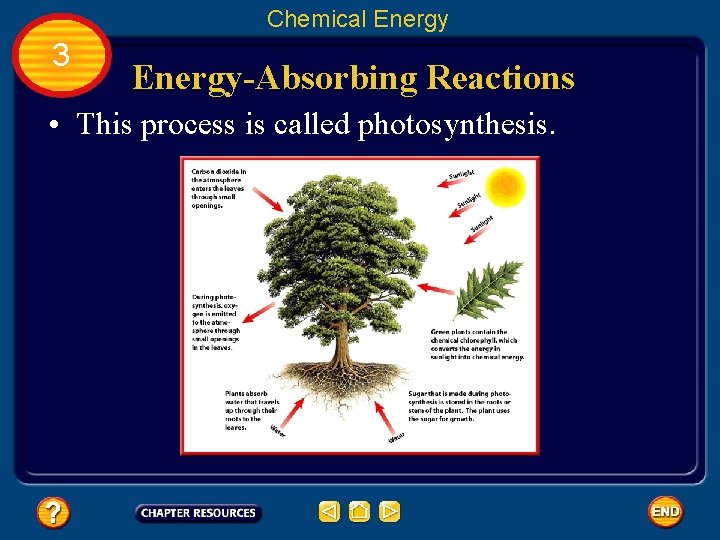 Chemical Energy 3 Energy-Absorbing Reactions • This process is called photosynthesis. 
