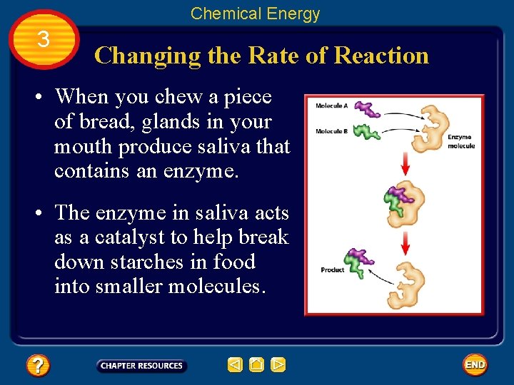 Chemical Energy 3 Changing the Rate of Reaction • When you chew a piece