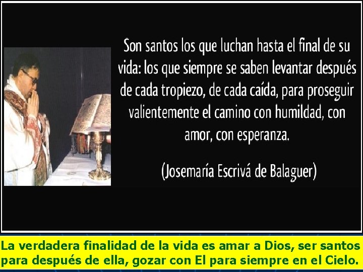 La verdadera finalidad de la vida es amar a Dios, ser santos para después