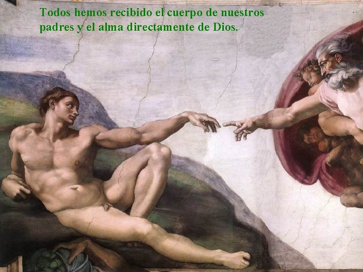 Todos hemos recibido el cuerpo de nuestros padres y el alma directamente de Dios.