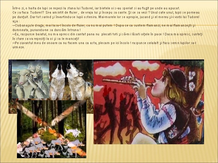 Într-o zi, o haita de lupi se repezi la stana lui Tudorel, iar bietele
