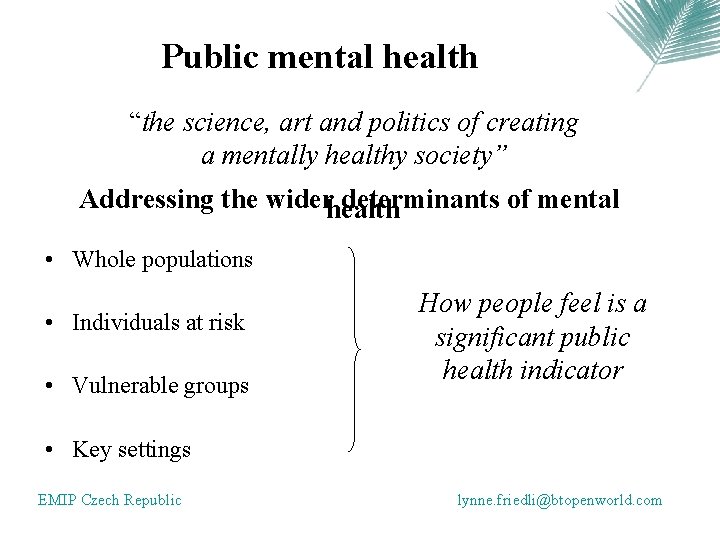 Public mental health “the science, art and politics of creating a mentally healthy society”