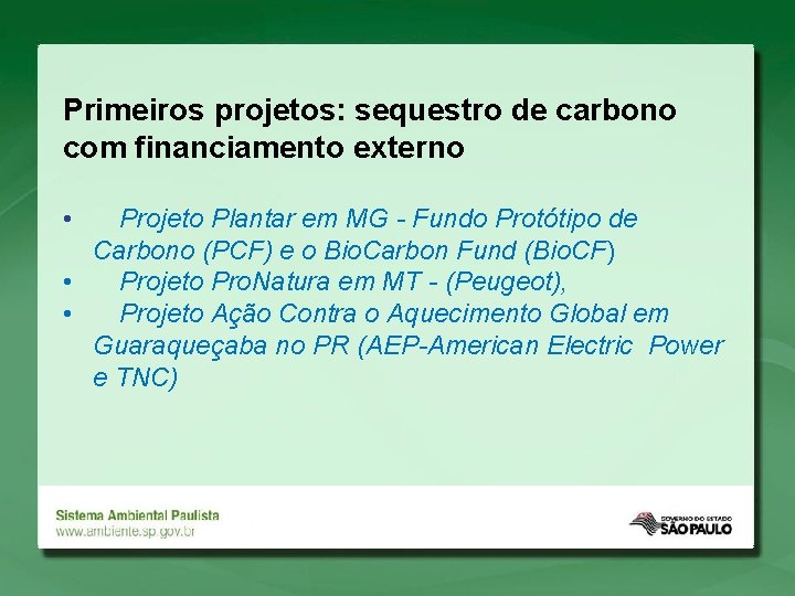 Primeiros projetos: sequestro de carbono com financiamento externo • Projeto Plantar em MG -