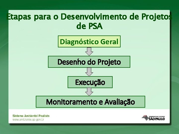 Etapas para o Desenvolvimento de Projetos de PSA Diagnóstico Geral Desenho do Projeto Execução