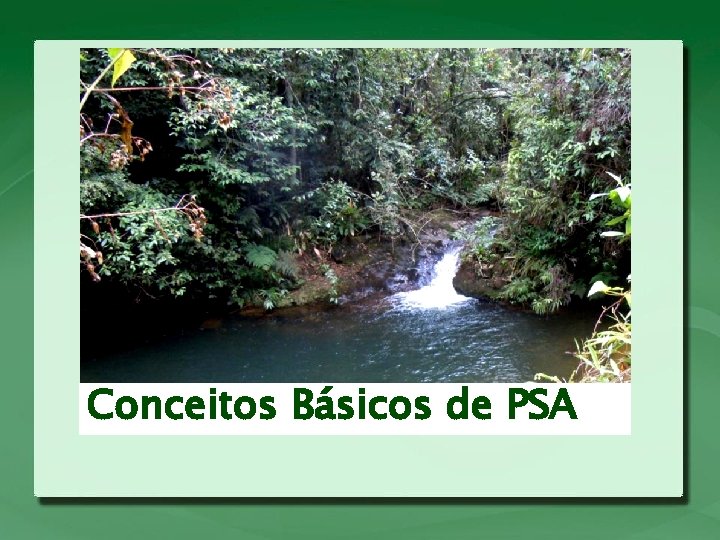 Conceitos Básicos de PSA 