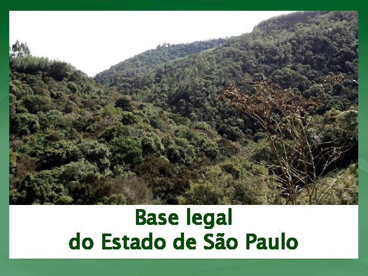 Base legal do Estado de São Paulo 