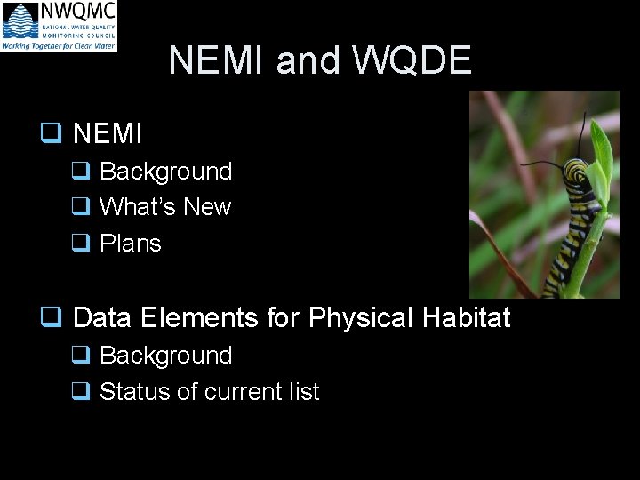 NEMI and WQDE q NEMI q Background q What’s New q Plans q Data