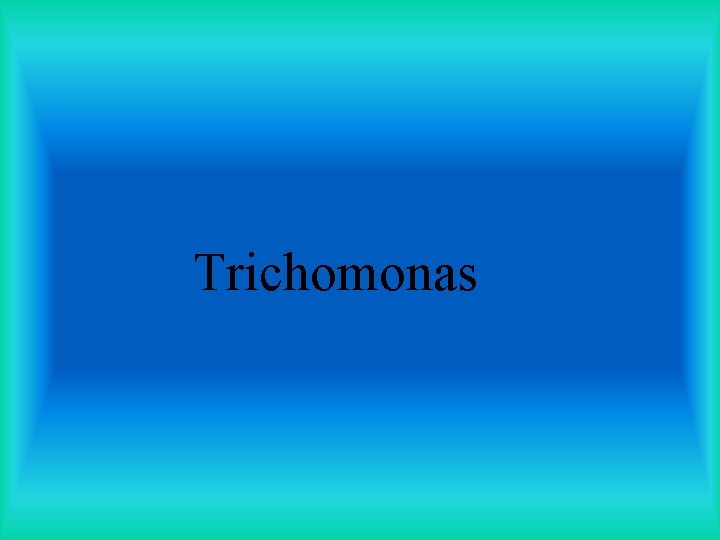 Trichomonas 