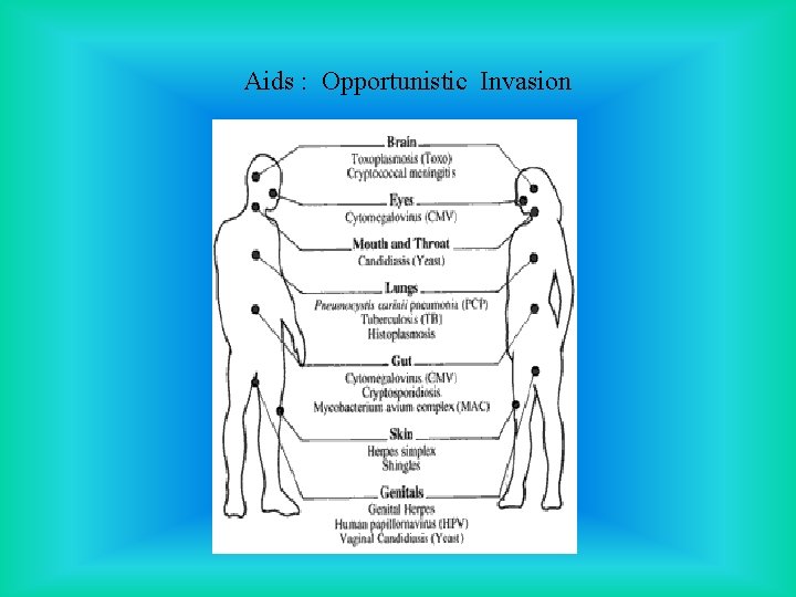 Aids : Opportunistic Invasion 